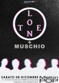 Lento + Muschio