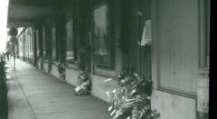 Special Strane Visioni all'Amantes con "Dinamovie" e "Sale per la capra"