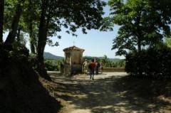 Escursione "In un mondo di… noccioleti" - Cravanzana - Associazione Culturale Terre Alte