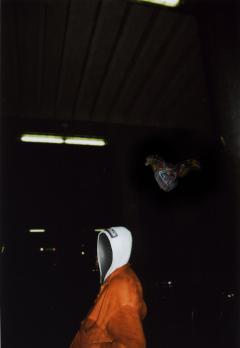 HOP.E NIGHTS alla Reggia di Venaria