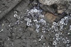 Vittime di Prato: la schiavitù esiste ancora