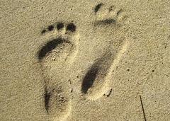 Riflessologia plantare