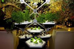 Corso di Orticoltura Indoor