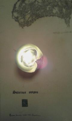 Enrico Mazzone - Mostra d'arte personale al Circolo SUD