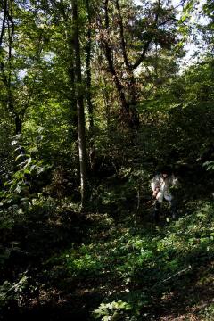 Fra Diavolo al Bazura