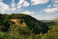 Passeggiata domenica 16 Novembre: Le colline delle pera Madernassa e del Barocco @ Associazione Culturale Terre Alte