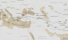 "NEL MARE CI SONO I COCCODRILLI" a cura di O.P.S.