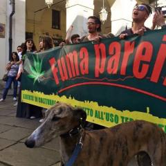 Assemblea per la Fuma Parei #FumaParei