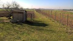 AAA.CERCASI GIOVANI PER SERVIZIO CIVILE