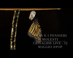 Fran e i Pensieri Molesti -Crisalide Live