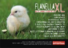 Le prossime di Flanella XL con Paolo Ferrari all'Amantes: Luciano Del Sette, Il Metagruppo, Alberto Campo, Madaski