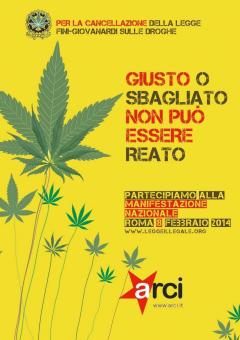 Canapa: la scelta del Comune di Torino