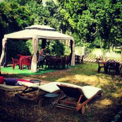 Casseta Estiva 2012 || Grugliasco - Parco Le Serre