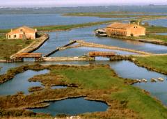 Blues per le terre nuove. Wu Ming 1 a Torino