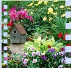 Corso di giardinaggio Arci Bra Uni-Tre