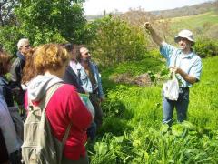 "Riconoscere le erbe spontanee" @ Circolo Arci Bra Uni-Tre