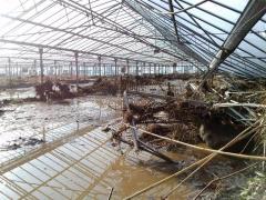 LA SARDEGNA NEL CUORE