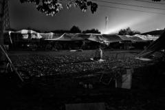 foto di Andrea Fenoglio