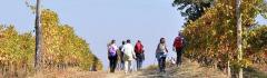 Escursione "Le colline del Barbaresco" a Barbaresco - Associazione Culturale Terre Alte