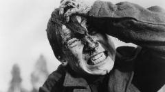 Va' e vedi di Ėlem Klimov