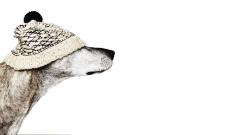 Lo Svuotarmadio di Sassi!