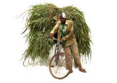 15° CinemAmbiente: African Cyclists, mostra di Antonio Maini all'Amantes 