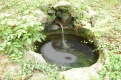 Fotografie di Roberto Dassisti