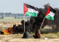 Palestina andata e ritorno