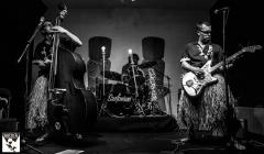 Surfoniani in concerto al Circolo SUD