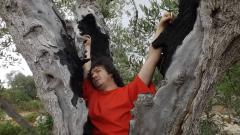 Itenerarium (il viaggio immaginario del Dante Alighieri)