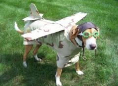 Scambio abiti al Sud