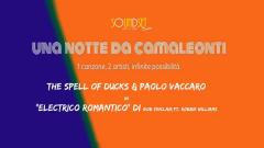 Una notte da camaleonti #9//The Spell of ducks & Paolo Vaccaro