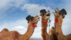 Karaoke Night @Circolo Sud