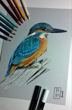 Inaugurazione mostra di ALESSANDRA PARIGI alla Tana Libera Tutti