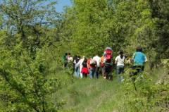 Escursione "Alla Torre dei Contini" - Canelli - Domenica 23 settembre - Associazione Culturale Terre Alte