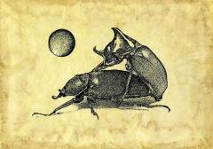 RESET / 012 all'Amantes