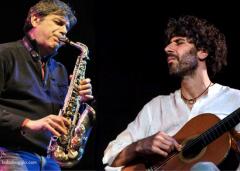 Pelle - Ballestrero Pala Duo