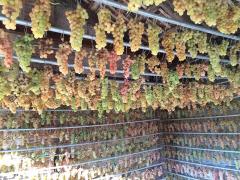 Serata del Passito di Caluso