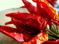 photo by flickr_delphaber