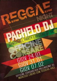 Reggae hip hop dancehall party: Pachelo dj set 