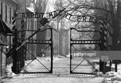 concittadina della società civile