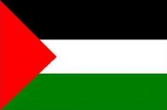 AL FIANCO DEL POPOLO PALESTINESE