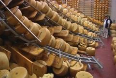 Parmigiano Solidale - ordini per 3.138 kg presso il GAS Villa5!!!