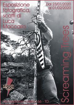 Screaming Trees, Esposizone fotografica, scatti di Luca Maccario
