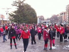 #1billionrising Flash Mob a #Collegno