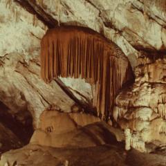 SabaSaba release party