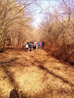 Passeggiata lungo la Via Franchigena
