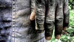 La Terra che Connette crowdfunding‏
