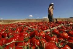 Campi antimafia e laboratori di formazione della legalità democratica. 
