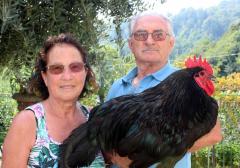 Pettinengo, a tavola con i Sardi tra cibo buono e incanto del gallo